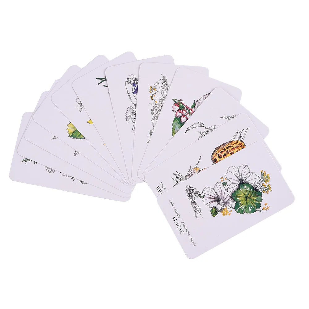 Best Selling Hedge Witch Botanical Oracle Cards 40 Pcs Wisdom From The Boundary Lands Tarot Deck Games With PDF Guidebook